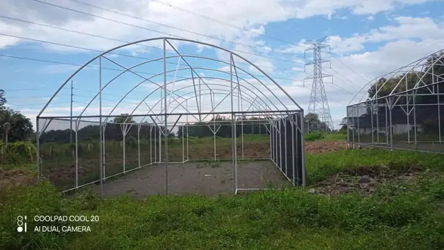 Steel-framed greenhouse structure under construction